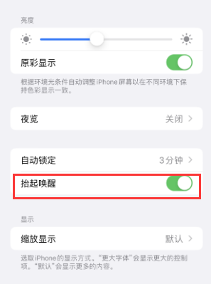 沂源苹果授权维修站分享iPhone轻点无法唤醒怎么办