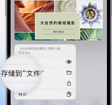 沂源apple维修中心分享iPhone文件应用中存储和找到下载文件