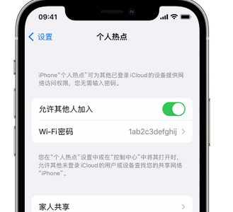 沂源apple服务站点分享iPhone上个人热点丢失了怎么办 