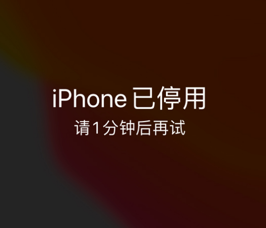 沂源苹果手机维修分享:iPhone 显示“不可用”或“已停用”怎么办？还能保留数据吗？ 