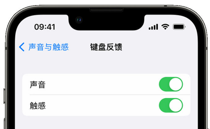 沂源苹果手机维修分享iPhone 14触感键盘使用方法 