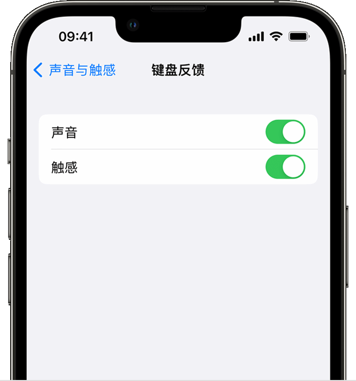 沂源苹果14维修店分享如何在 iPhone 14 机型中使用触感键盘 