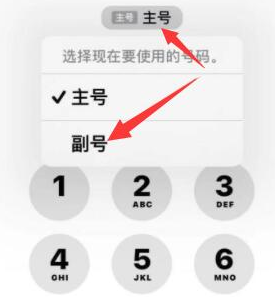 沂源苹果14维修店分享iPhone 14 Pro Max使用副卡打电话的方法 