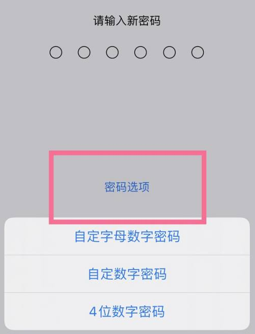 沂源苹果14维修分享iPhone 14plus设置密码的方法 