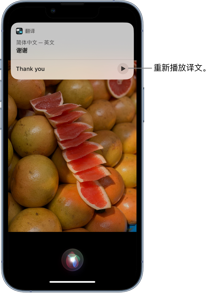 沂源苹果14维修分享 iPhone 14 机型中使用 Siri：了解 Siri 能帮你做什么 