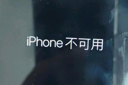 沂源苹果服务网点分享锁屏界面显示“iPhone 不可用”如何解决 