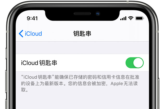 沂源苹果手机维修分享在 iPhone 上开启 iCloud 钥匙串之后会储存哪些信息 