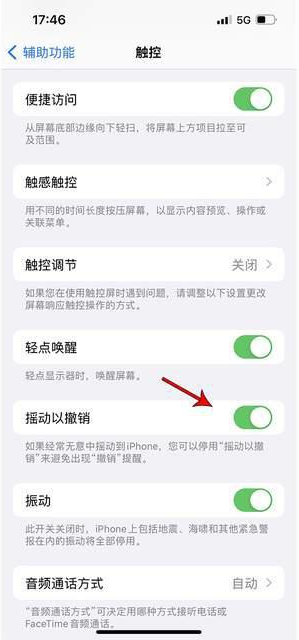 沂源苹果手机维修分享iPhone手机如何设置摇一摇删除文字 